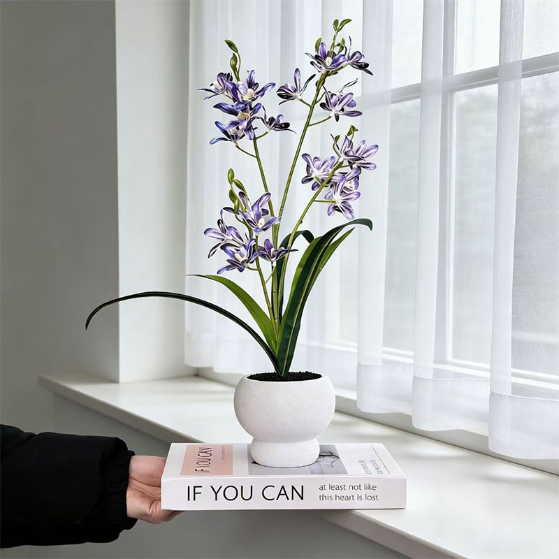 Bonsai Garden With Sand - New Jumping Orchid Black Sand Pot