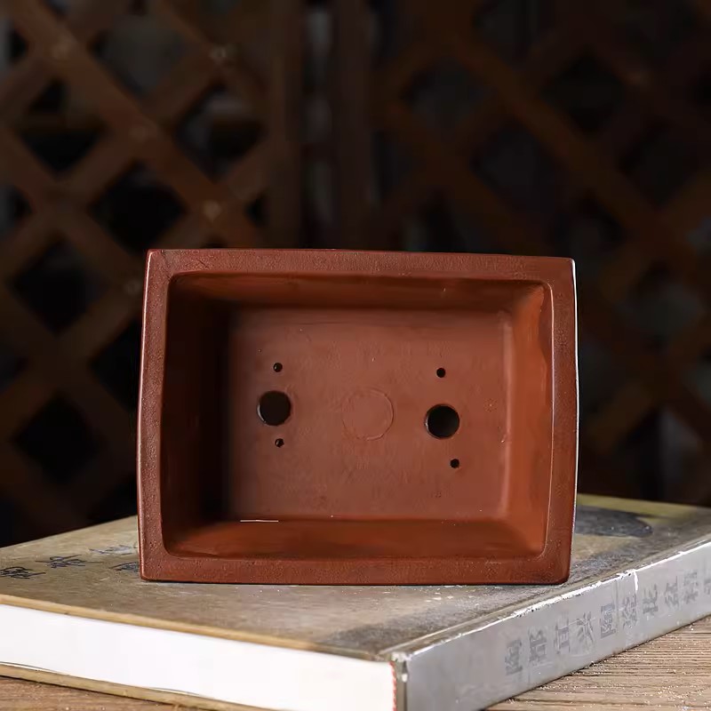Purple Sand Carved Rectangle B - đánh giá và giá Bonsai Garden With Sand