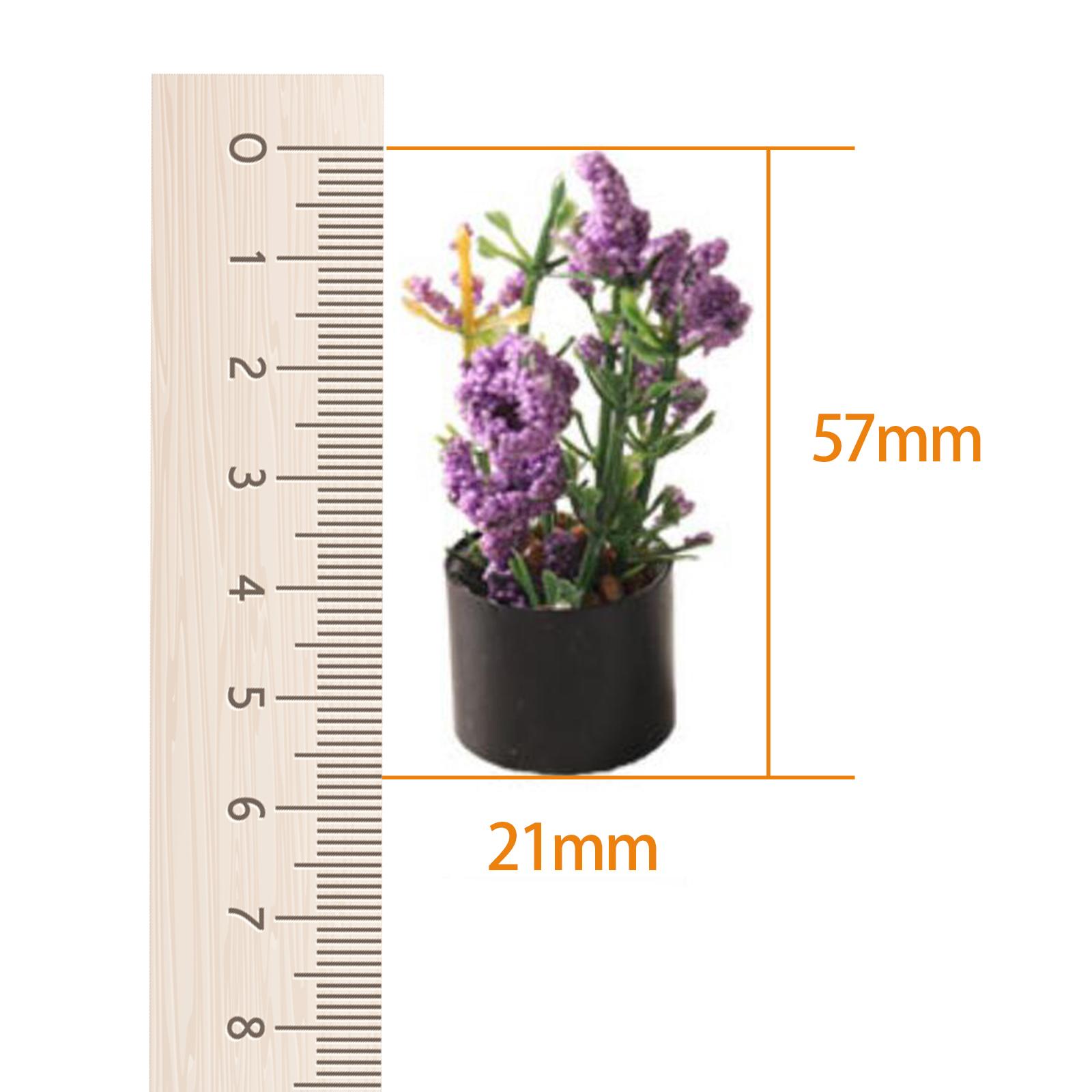 1/12 Miniature Flower Bonsai O - đánh giá và giá Bonsai Garden Entrance