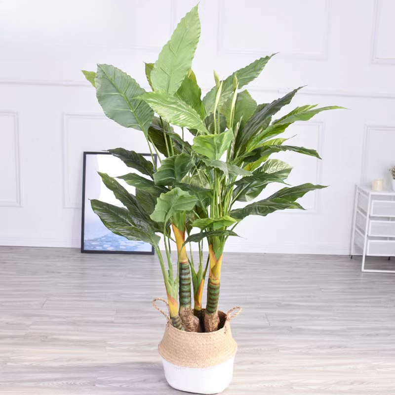 Artificial Plant White Palm An - đánh giá và giá Bonsai Exhibition Garden