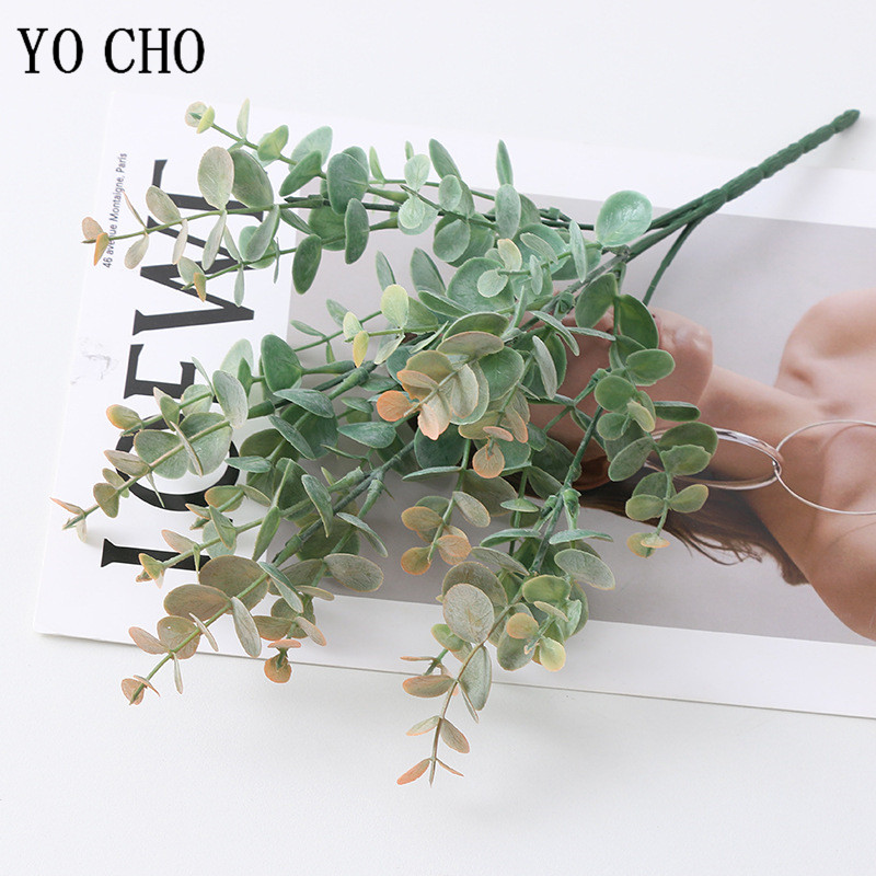5 Nĩa/Bó Lụa Lá Khuynh Diệp Ch - đánh giá và giá Bonsai Garden Art