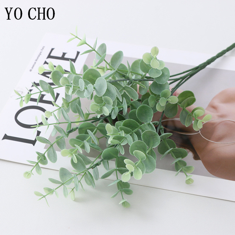 5 Nĩa/Bó Lụa Lá Khuynh Diệp Ch - đánh giá và giá Bonsai Garden Art