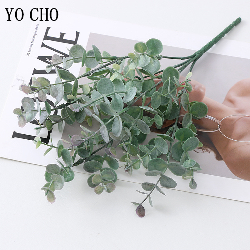 5 Nĩa/Bó Lụa Lá Khuynh Diệp Ch - đánh giá và giá Bonsai Garden Art