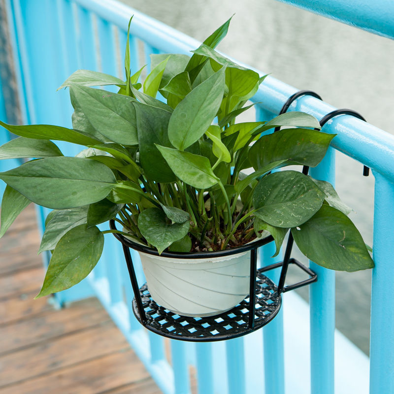 1PC Gardening Pots Outdoor Win - đánh giá và giá Bonsai Garden Art
