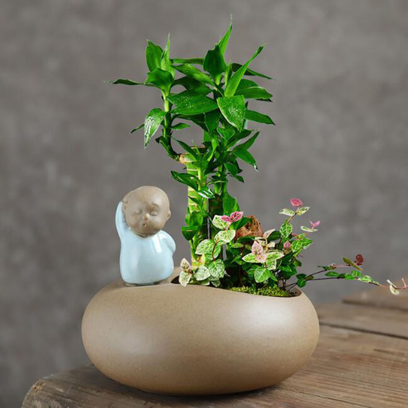 Chinese Style Retro Ceramic Mo - đánh giá và giá Bonsai Garden Art