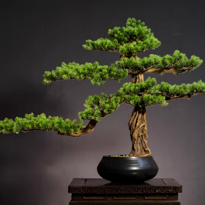 Home Welcoming Pine Ornaments  - đánh giá và giá Bonsai Garden Entrance