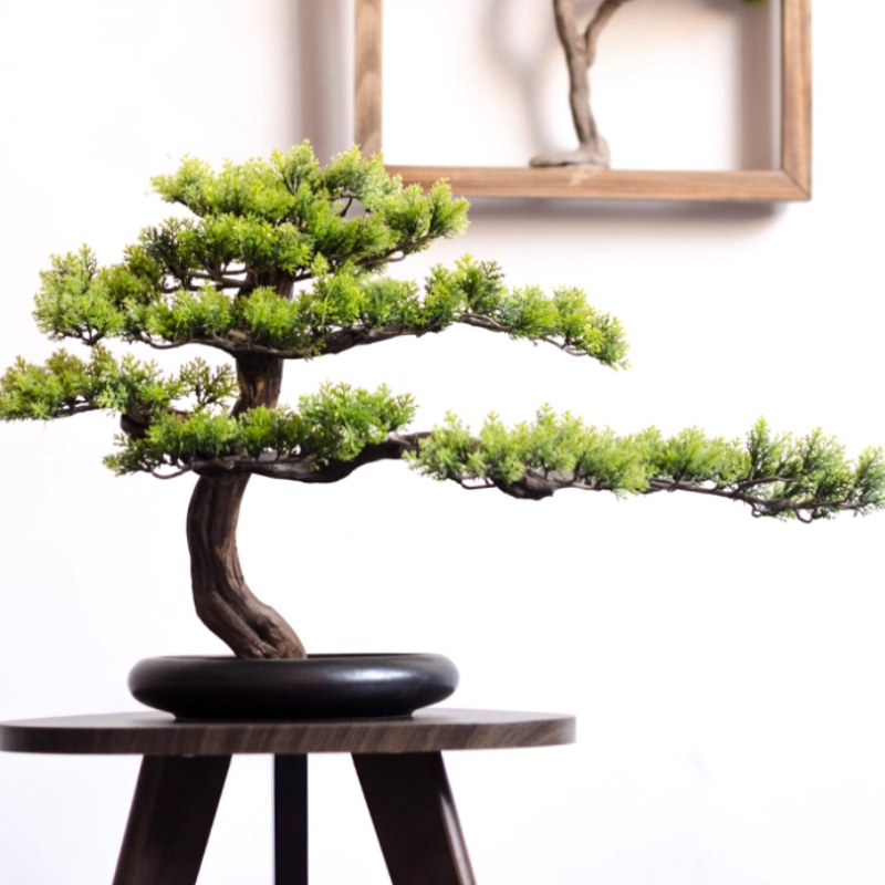 Home Welcoming Pine Ornaments  - đánh giá và giá Bonsai Garden Entrance