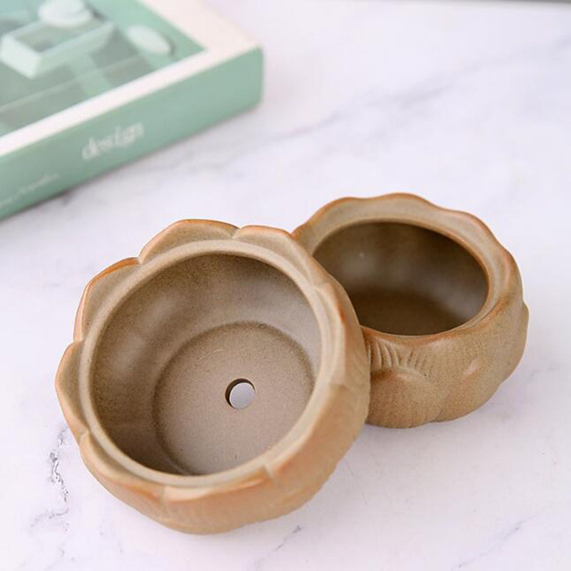 Coarse Pottery Lotus Green Pla - đánh giá và giá Bonsai Garden Art