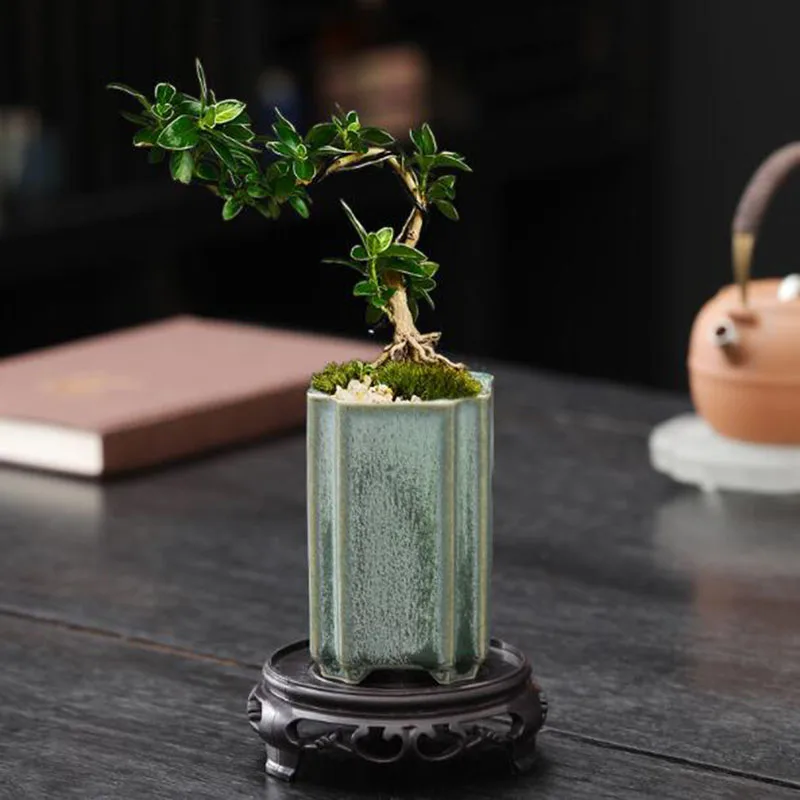 Porcelain Square Celadon Glaze - đánh giá và giá Bonsai Garden Art