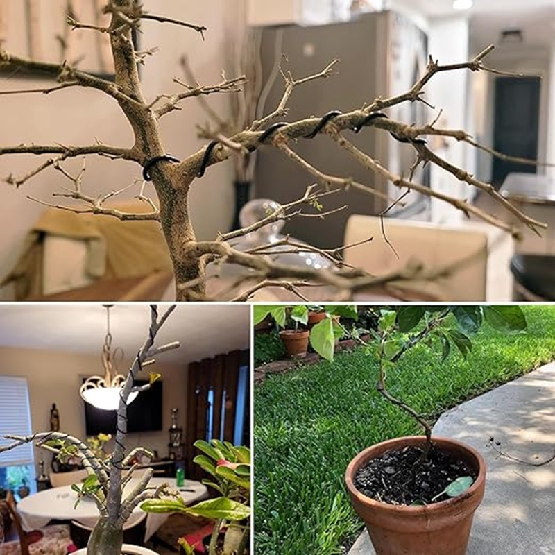 1mm Black Aluminum Bonsai Wire - đánh giá và giá Bonsai Garden Art